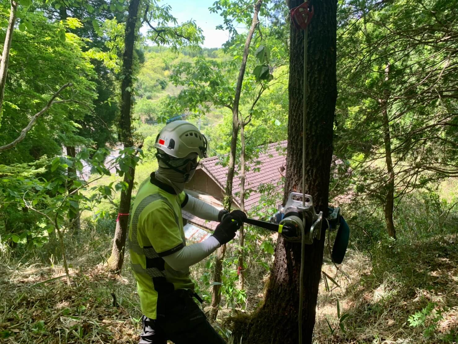 手動のウィンチを使ってロープを巻き取る藤本。木はロープで吊っているため、倒れずにそのまま安全な場所までウィンチで引き上げます。引き上げ